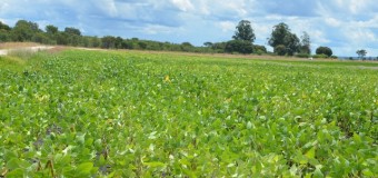 Presidente determina resgate de concessões agrícolas a favor do Estado