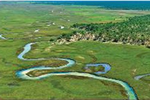 BACIA DO OKAVANGO FOTO: CEDIDA À ANGOP